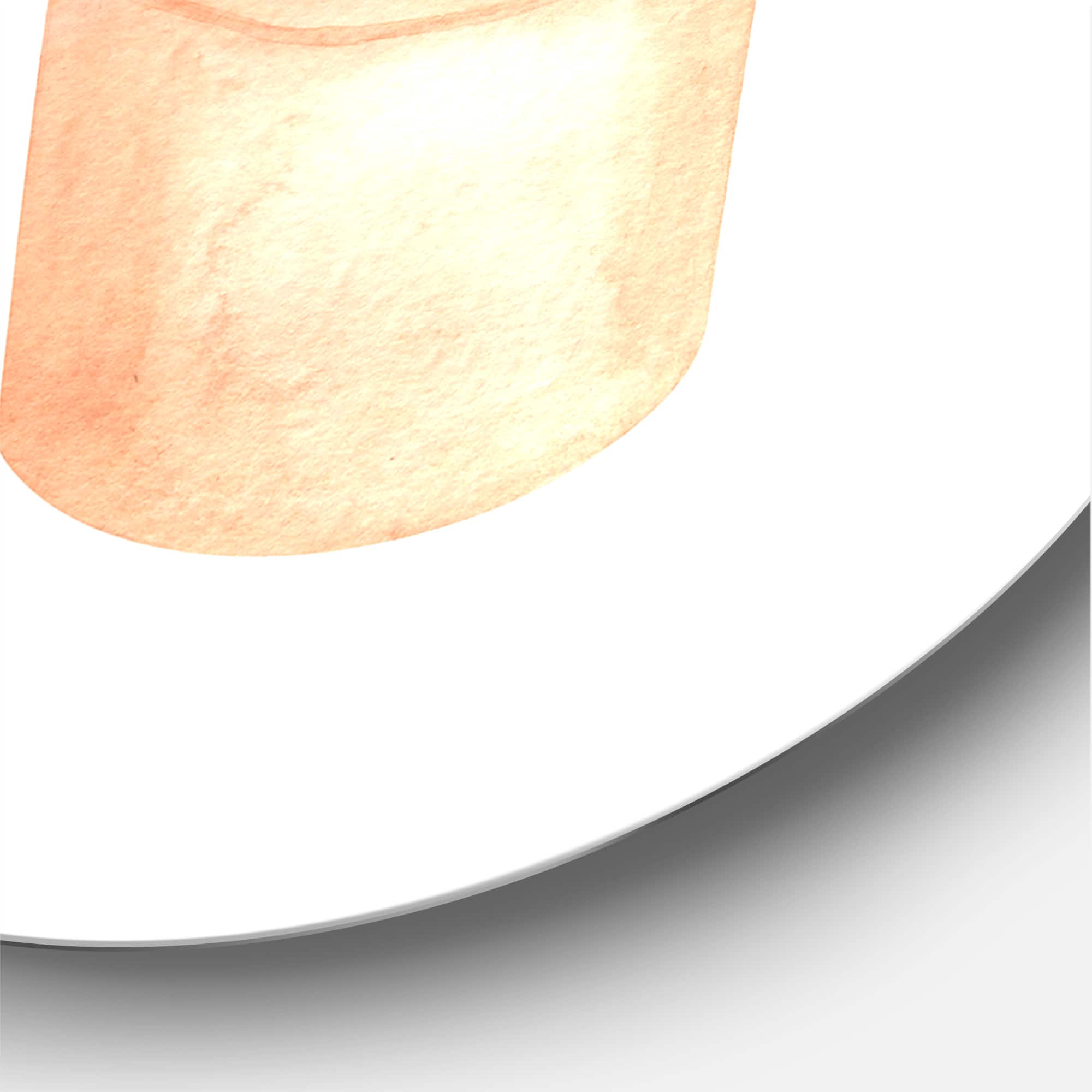 Designart - Sansevieria & Ficus Indoor Green Home House Plants